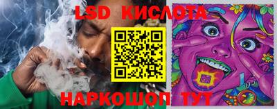 spice Обнинск