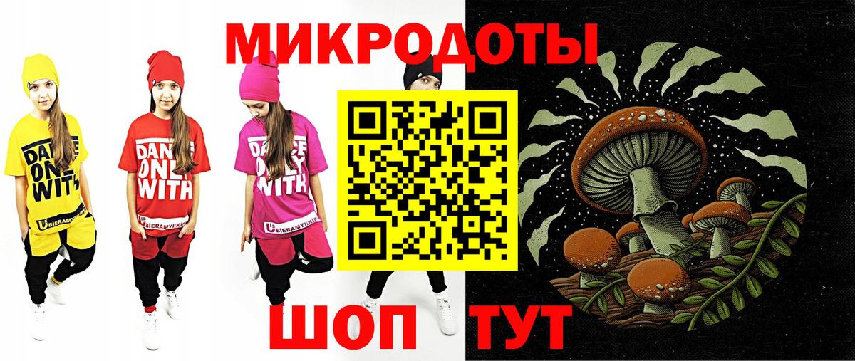 Галлюциногенные грибы Cubensis Сургут